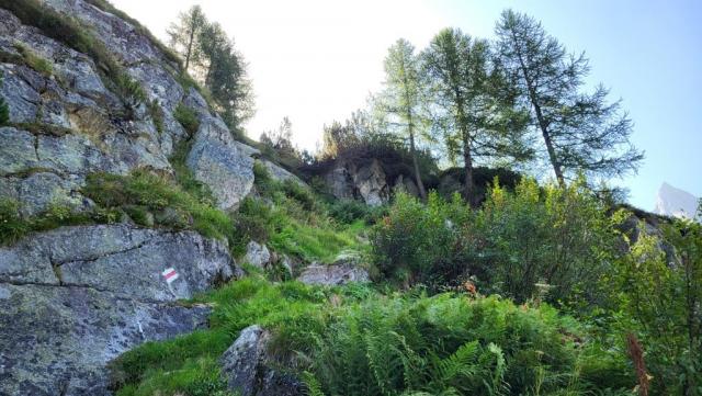 20250810_102059.jpg