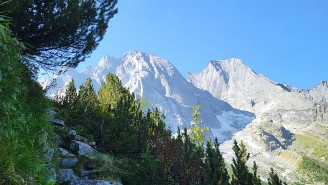 20250810_102804.jpg