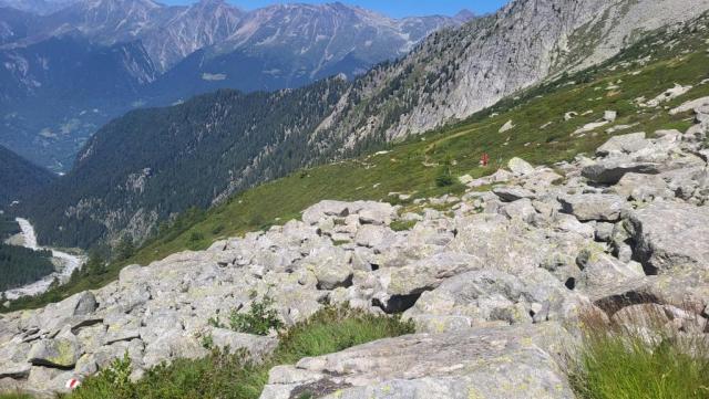 20250810_123127.jpg
