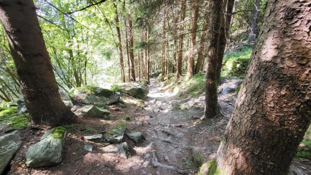 20250810_151929.jpg