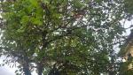 20250708_101713.jpg