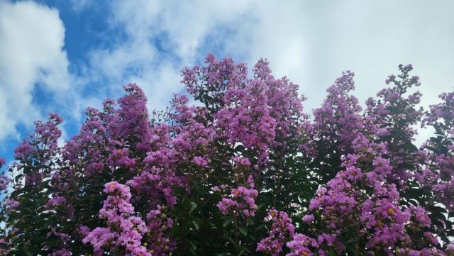 20250708_103856.jpg