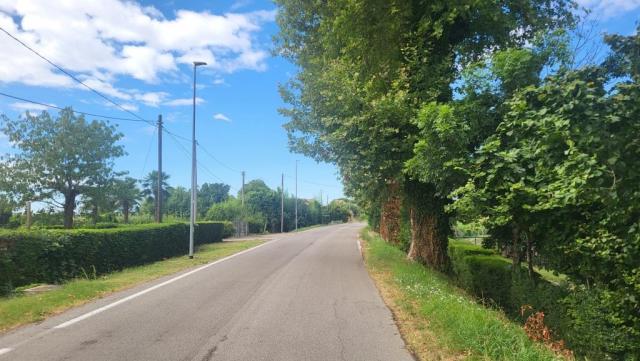20250708_104603.jpg