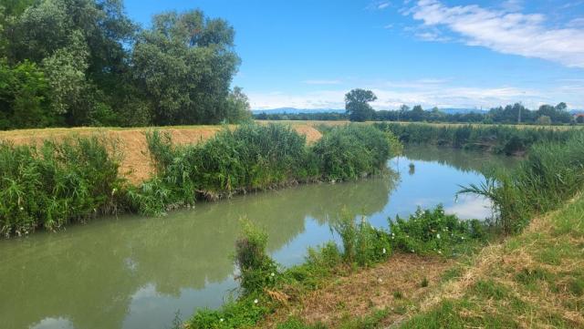 20250708_104914.jpg