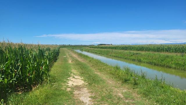 20250708_113921.jpg