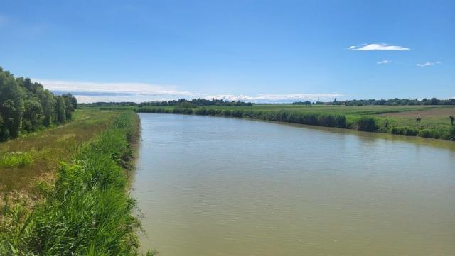 20250708_114352.jpg