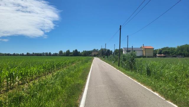 20250708_124800.jpg