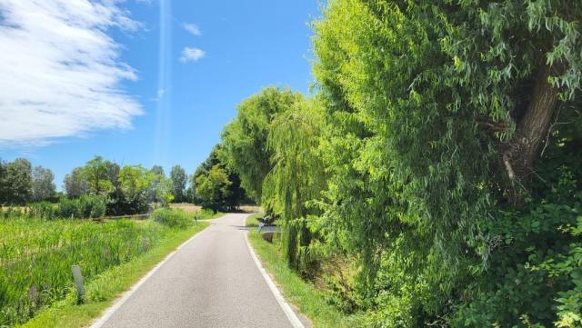 20250708_125558.jpg