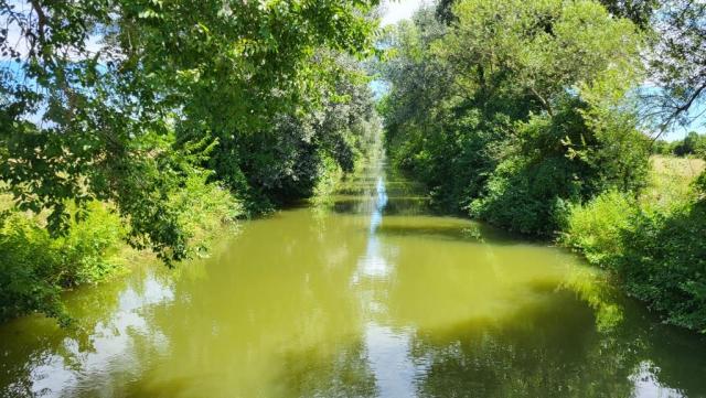20250708_130137.jpg