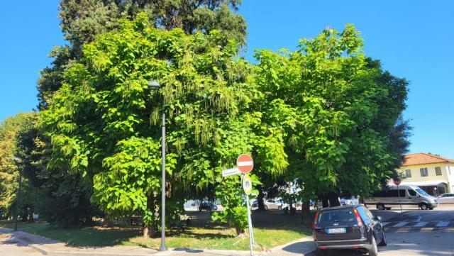 20250709_091555.jpg