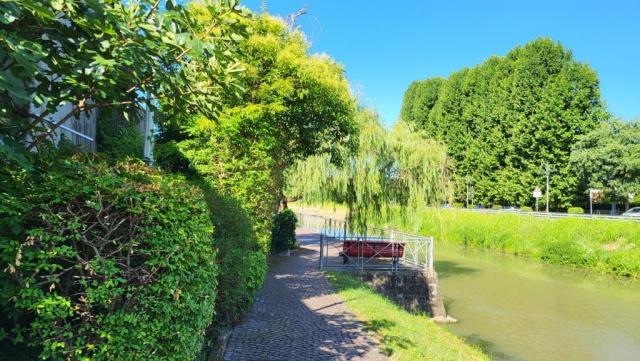 20250709_092910.jpg