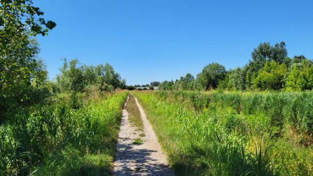 20250709_110500.jpg