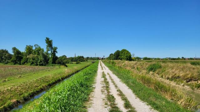20250709_114039.jpg