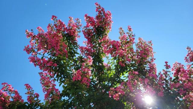20250709_141741.jpg