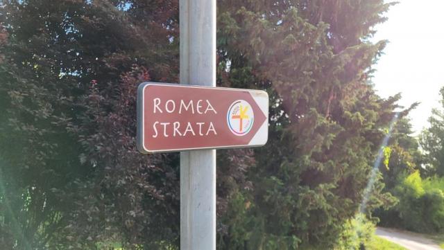 20250710_084006.jpg