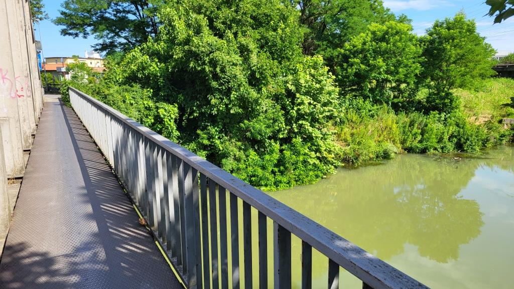 20250710_100751.jpg