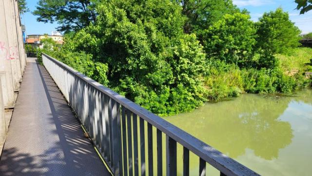 20250710_100751.jpg