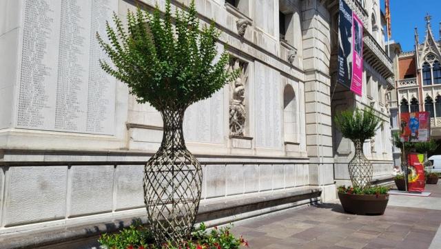 20250710_115443.jpg