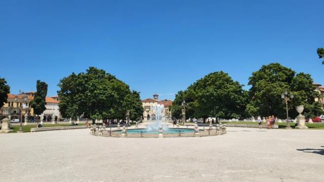 20250710_125141.jpg