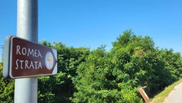 20250711_092304.jpg