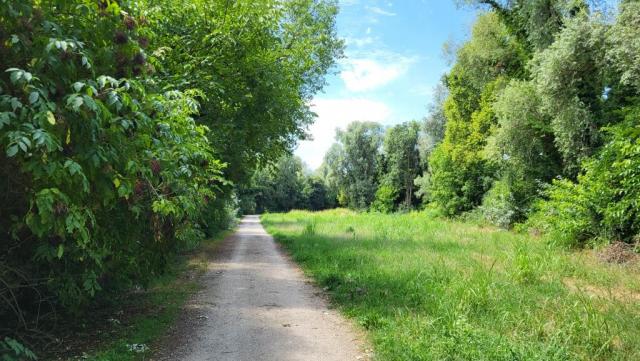 20250711_115447.jpg