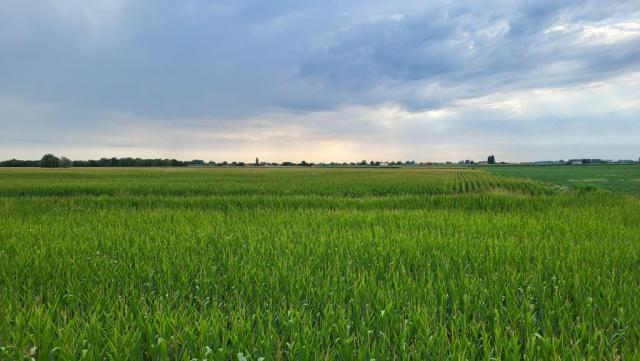 20250712_093524.jpg
