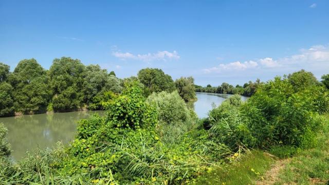 20250712_102746.jpg