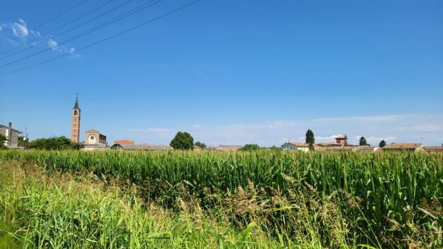 20250712_112134.jpg