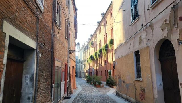 20250714_070542.jpg