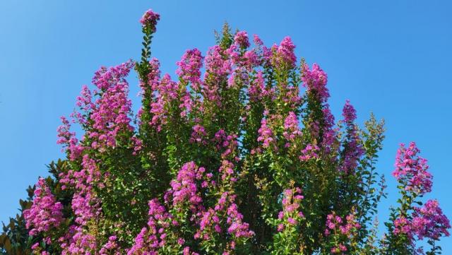 20250714_093351.jpg
