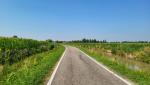 20250714_095734.jpg