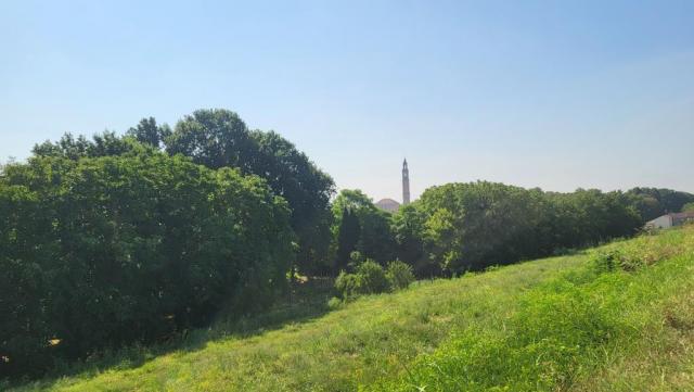 20250715_100929.jpg