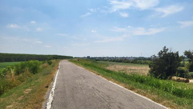 20250715_130858.jpg