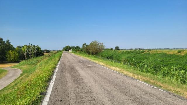 20250716_091958.jpg