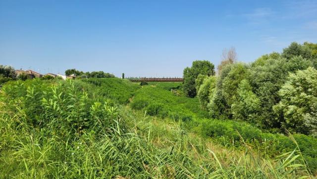 20250716_094049.jpg
