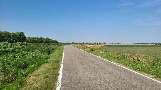 20250716_094824.jpg