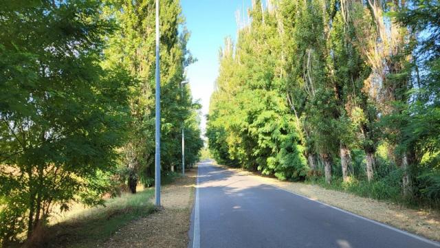 20250717_084217.jpg