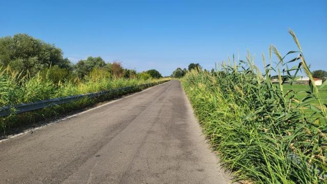 20250717_085340.jpg