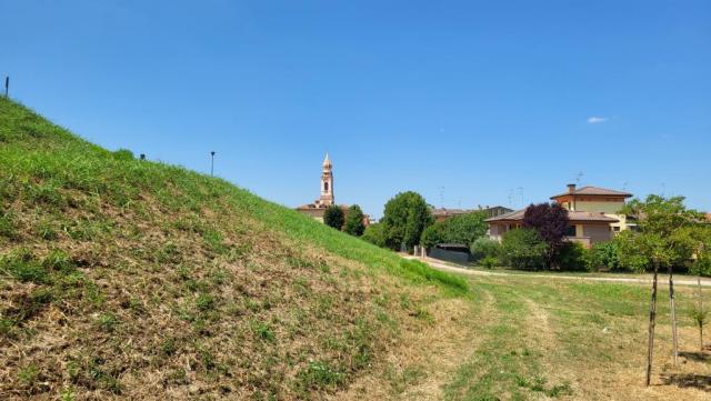 20250717_115933.jpg