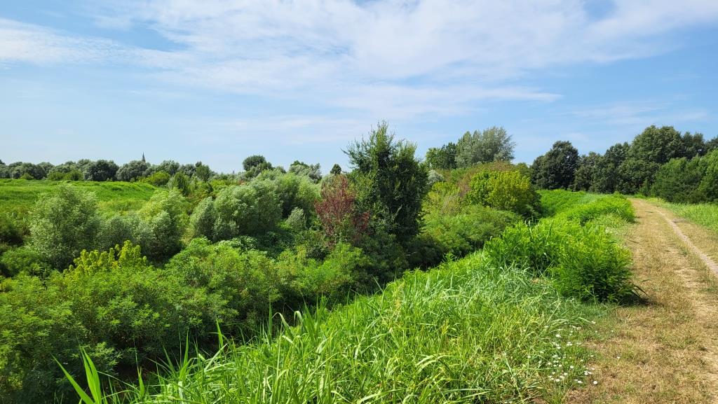 20250718_110356.jpg