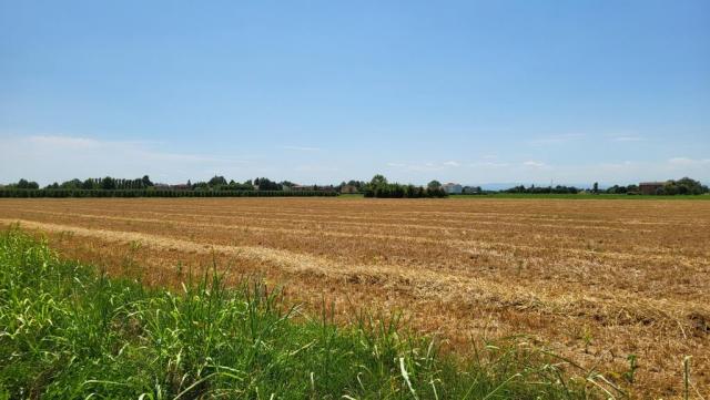 20250718_124029.jpg
