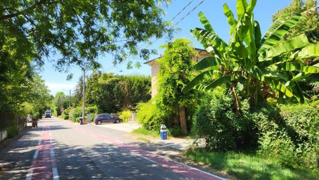 20250718_125131.jpg