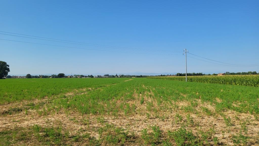 20250719_091949.jpg