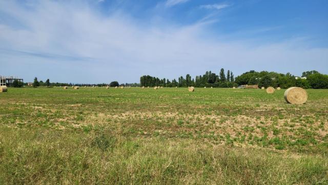 20250719_104430.jpg