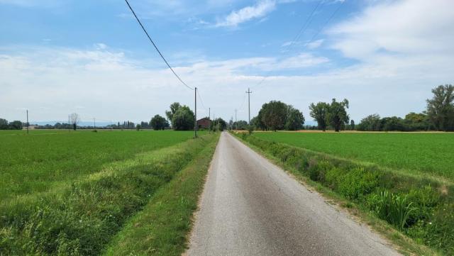 20250719_113512.jpg