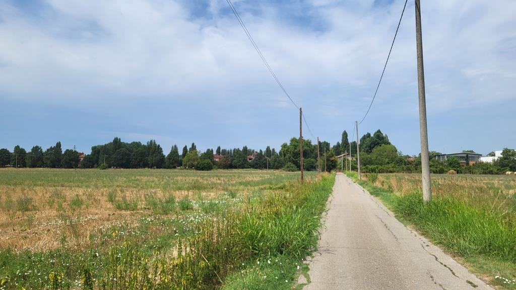 20250719_123045.jpg