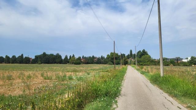20250719_123045.jpg