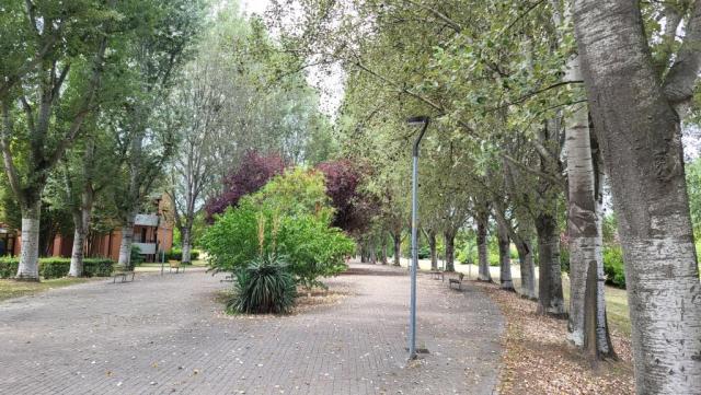 20250719_124742.jpg