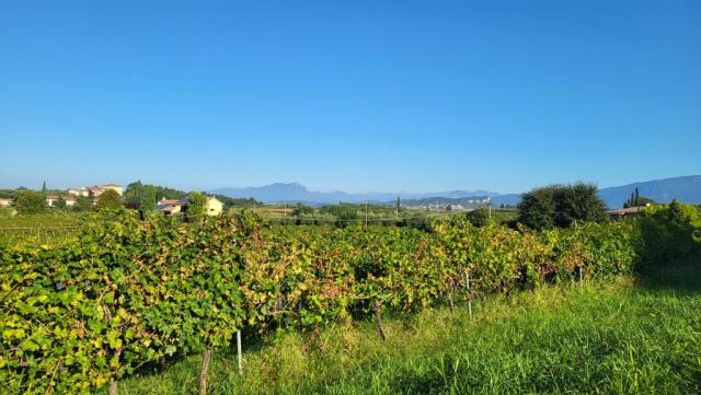 20250919_091515.jpg