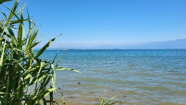 20250919_123535.jpg